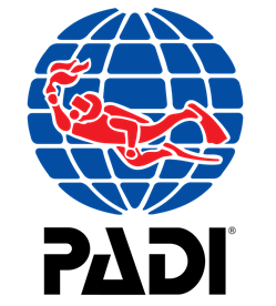 padi_