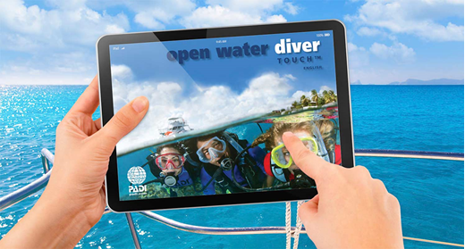padi6 padi6