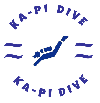 ka-pi_D-removebg-preview